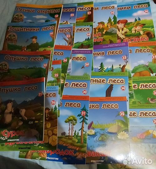 Книги. Животные леса