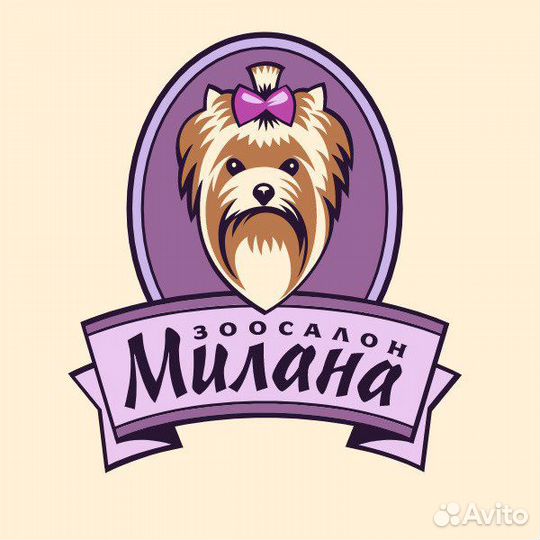 Грумер в зоосалон