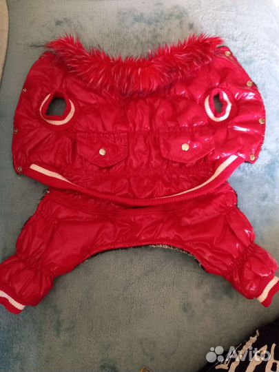 Комбинезон для маленькой собачки