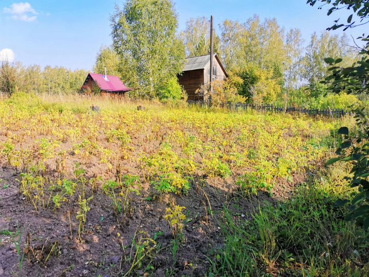 Участок 6 сот. (СНТ, ДНП)