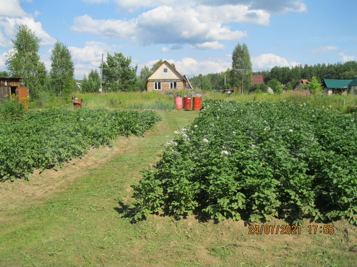 Участок 6 сот. (СНТ, ДНП)