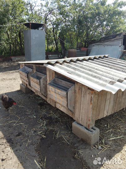 Клетка для кролика большая бу