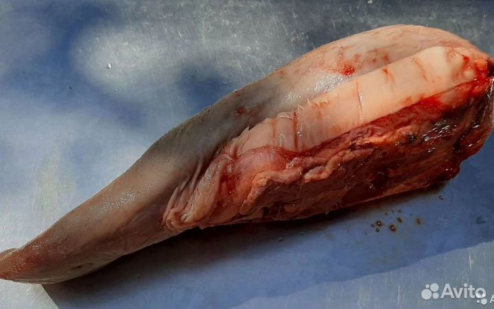 Мраморная говядина/рибай/стриплоин/брискет/вырезка