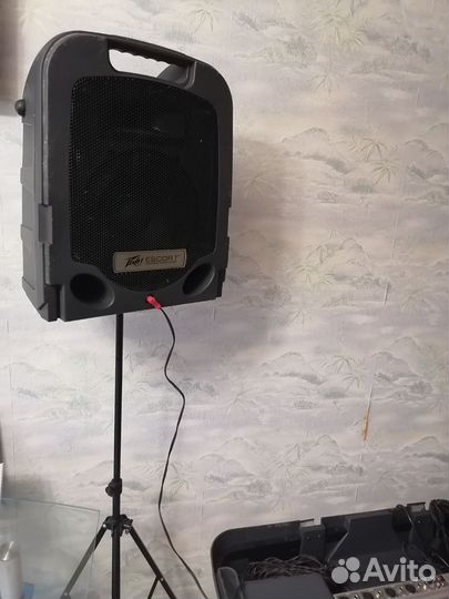 Escort 3000 portable audio system