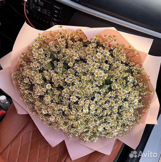 Букеты ромашек