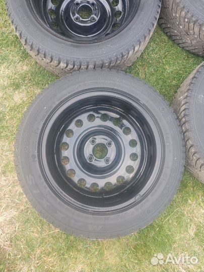 Maxxis Premitra Ice Nord NS5 205/55 R16