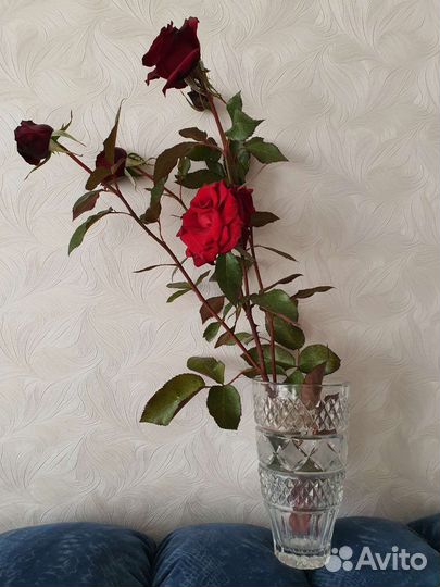 Ваза для цветов
