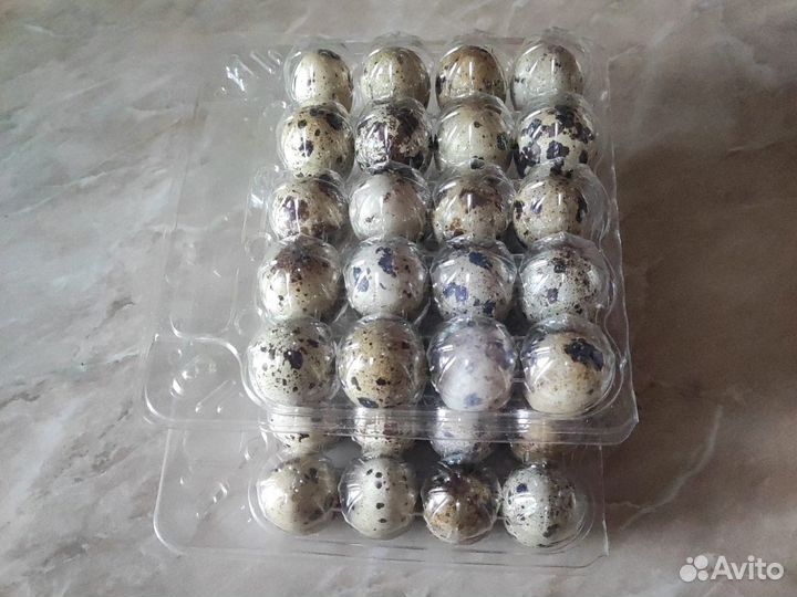 Яйца перепелиные