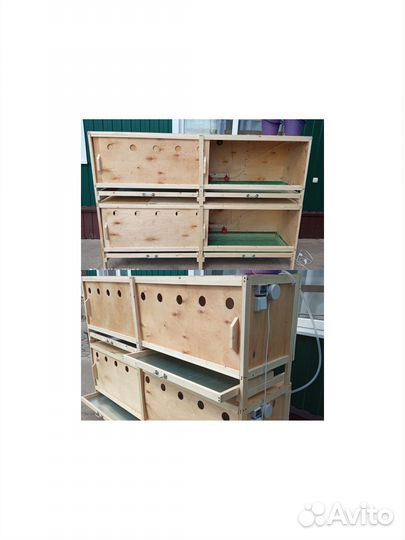 Брудер, клетки