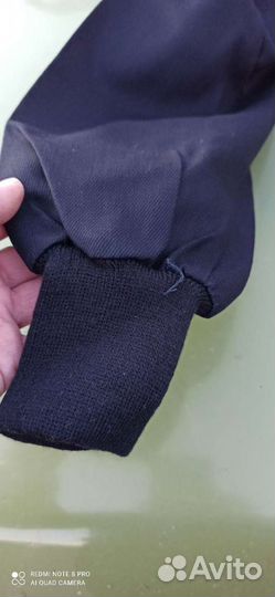 Энцефалитка