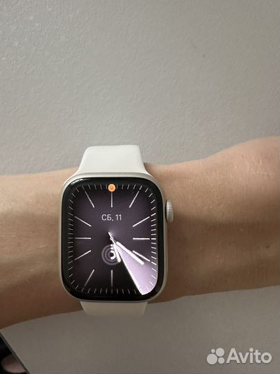 Apple watch 8