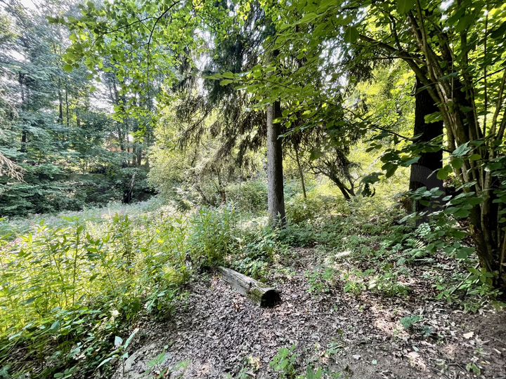 Участок 17,8 сот. (ИЖС)