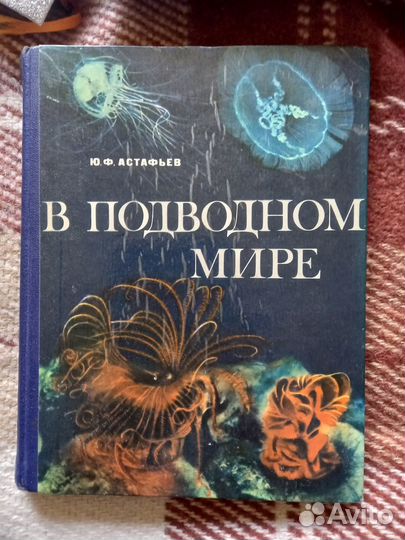 Книги много