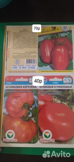 Продам рассаду