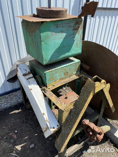 Крупорушка