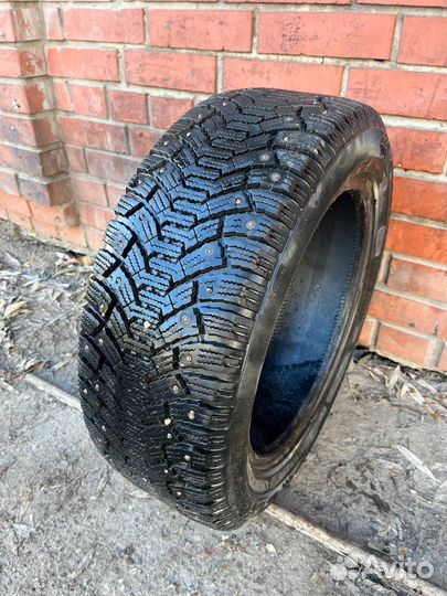 Cordiant Polar 205/55 R16