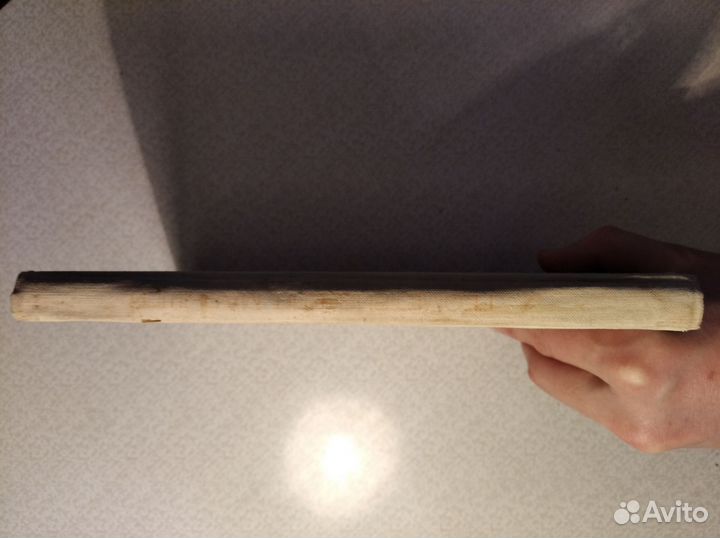 Геометрия для малышей житомирский