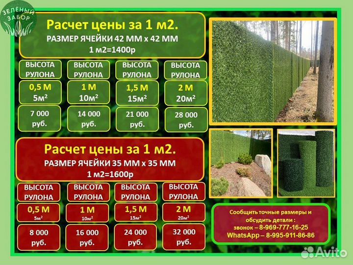 Калифорнийская изгородь