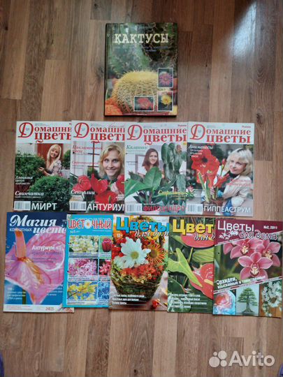 Кактусы, цветы, садоводство, биология, ботаника