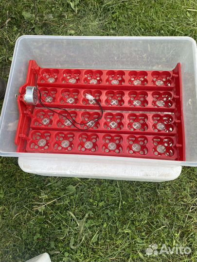 Инкубатор для яиц автоматический