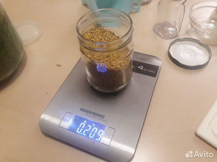 Пыльца пчелиная 2022 г Алтайский край