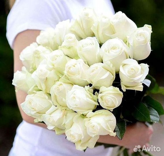 Высокие розы Гигантские розы Доставка цветов