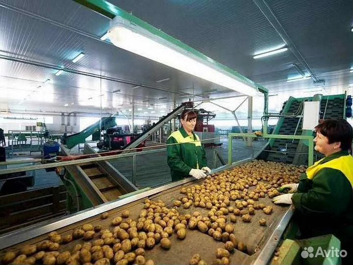 Разноробочий фасовщик