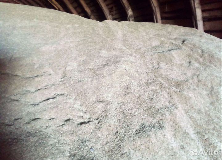 Кормовой горох, Кормовой горох на корм/посев