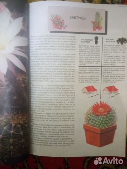 Книга Все о комнатных растениях Д.Г.Хессайон