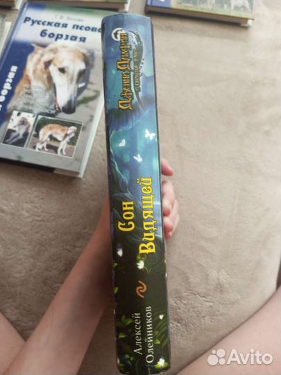 Дженни Далфин и скрытые земли