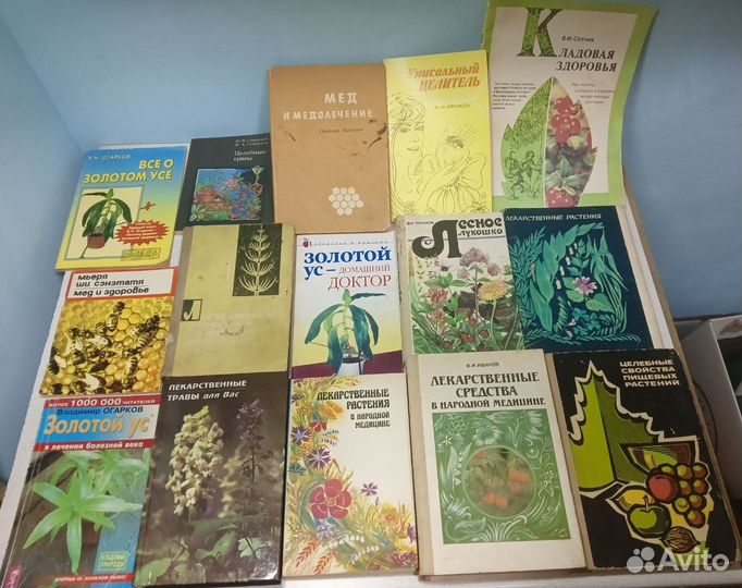 Лекарственные растения Цветоводство Грибы и т.п