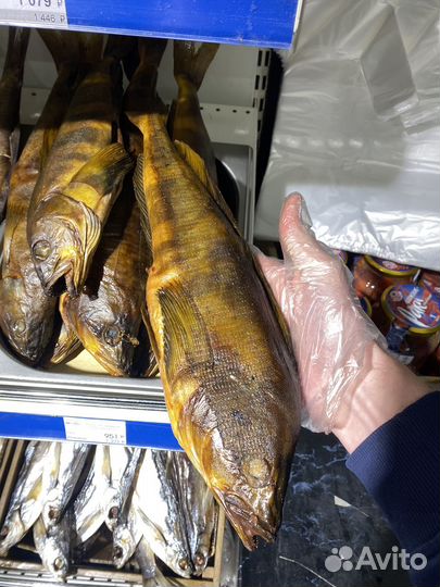 Рыба горячего копчения терпуг