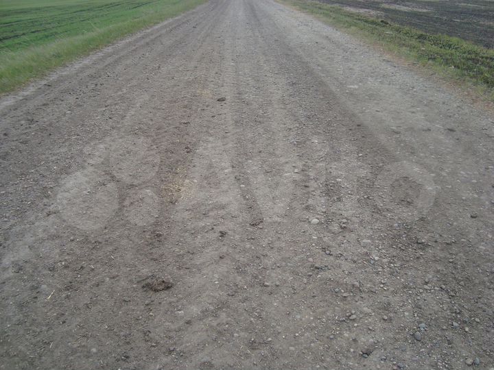 Участок 75 га (СНТ, ДНП)