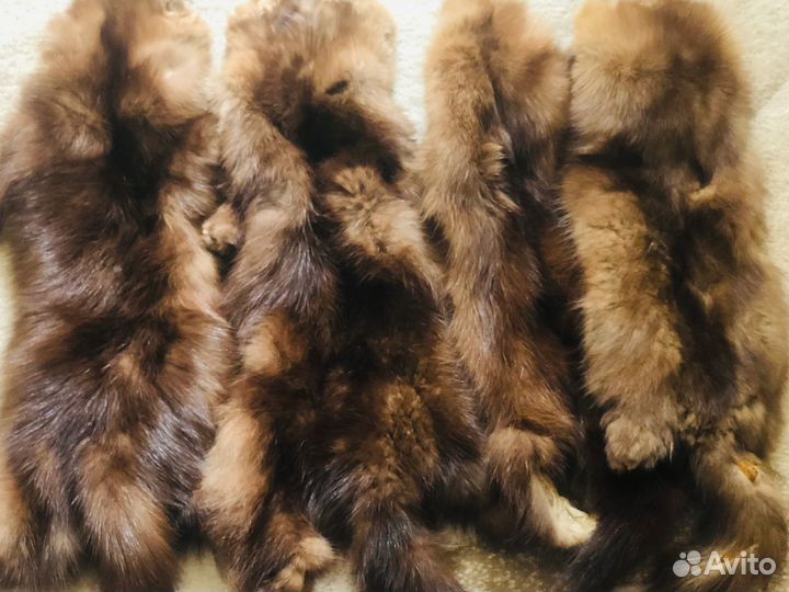 Продам шкурки соболя