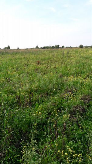 Участок 4 га (СНТ, ДНП)