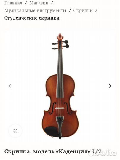 Скрипка детская Euphony 1/2