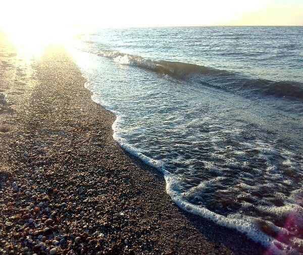 Участок 16 сот. (ИЖС)