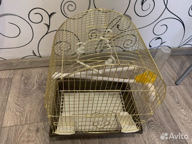 Клетка для попугая