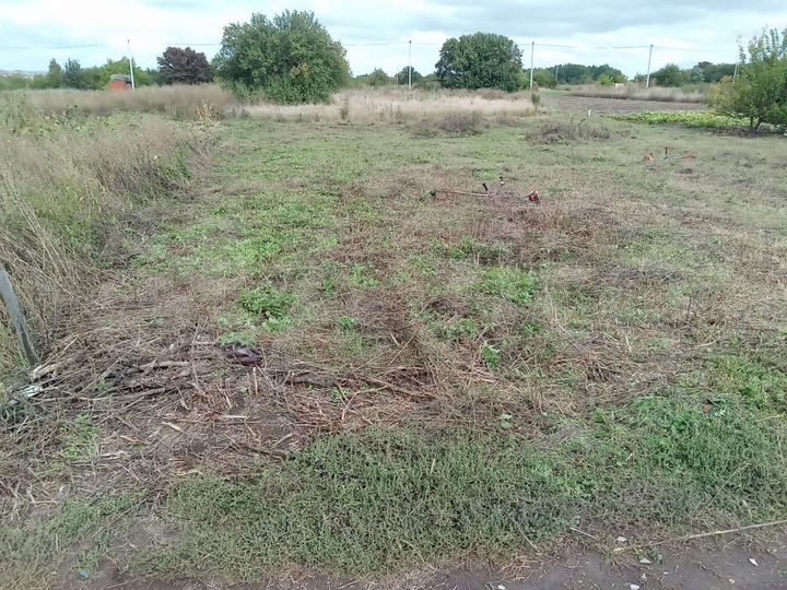 Участок 9 сот. (СНТ, ДНП)