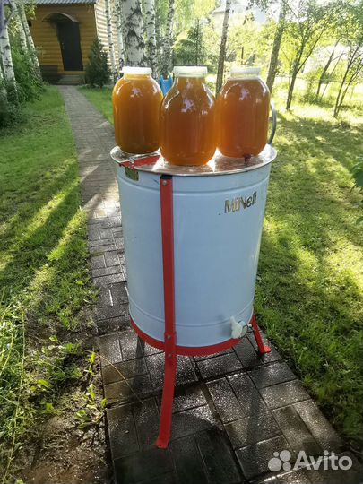 Пасека пчелы