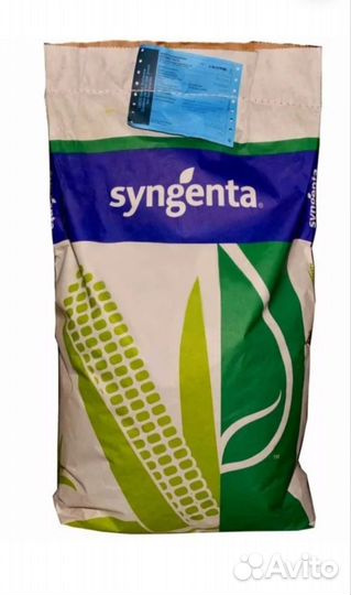 Семена кукурузы 