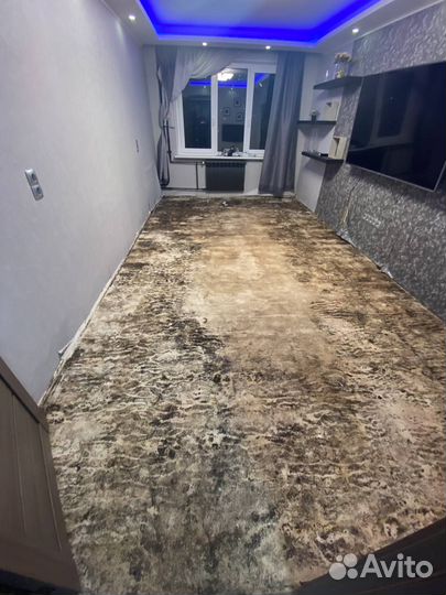 Уничтожение клопов тараканов плесени. Дезинфекция