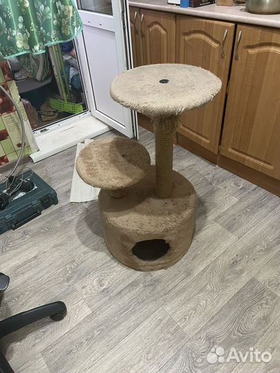 Когтеточка