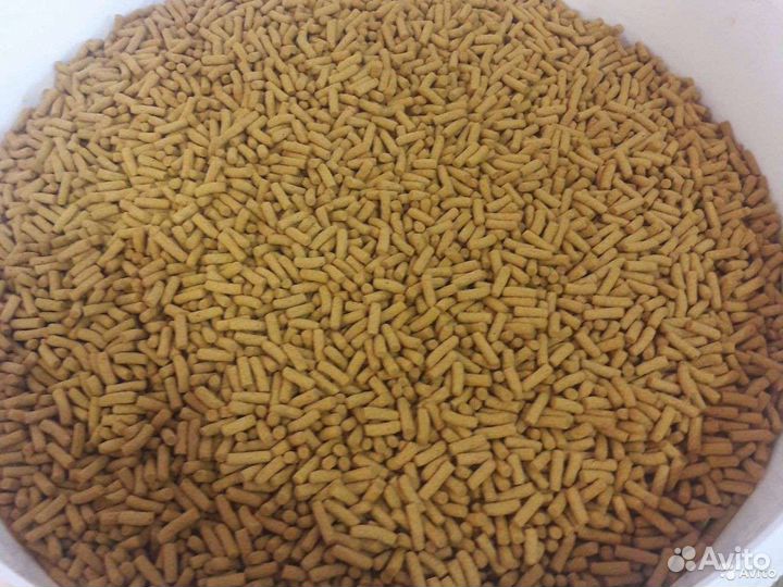 Корм для рыб