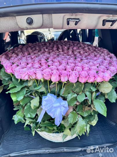Розы 301 в багажнике
