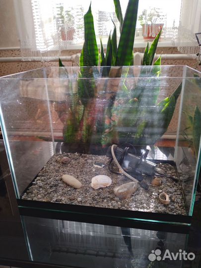 Аквариум