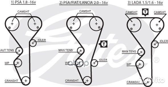 Комплект грм с помпой LADA 1.5/1.6 16V 95- KP55