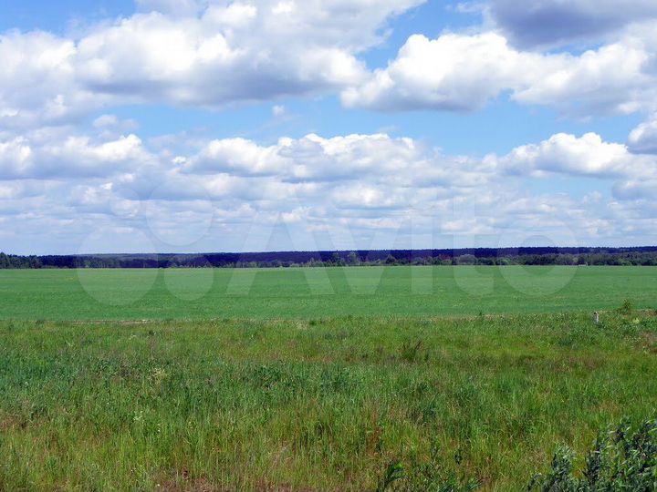 Участок 40 сот. (ИЖС)