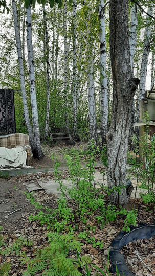 Участок 4 сот. (СНТ, ДНП)