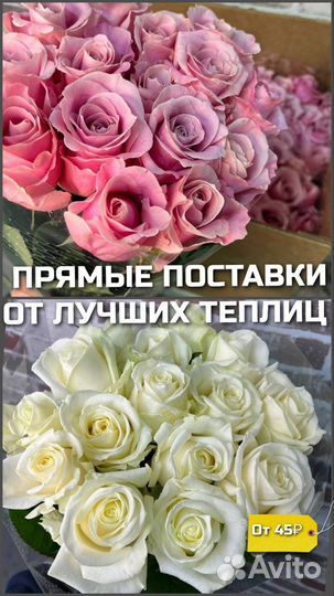 Цветы оптом и розницу розы